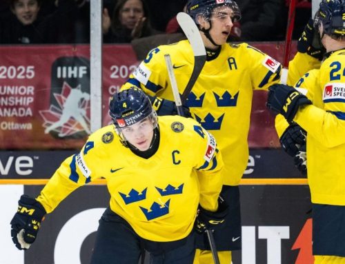 Förra årets JVM-trupp – var är spelarna idag?