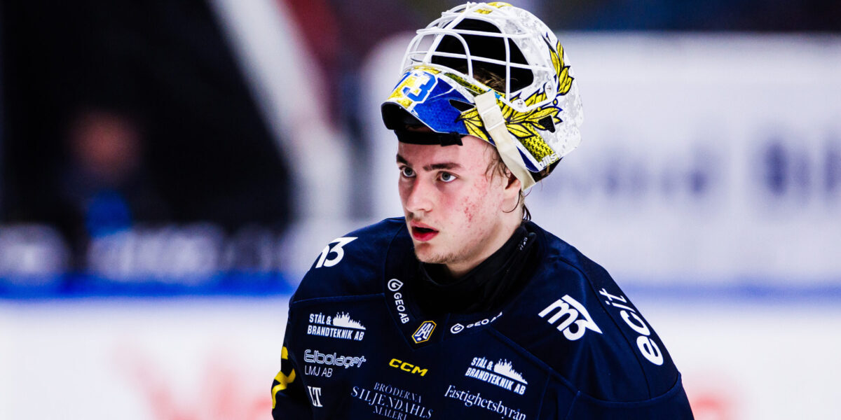 Matcher idag Hockeyallsvenskan